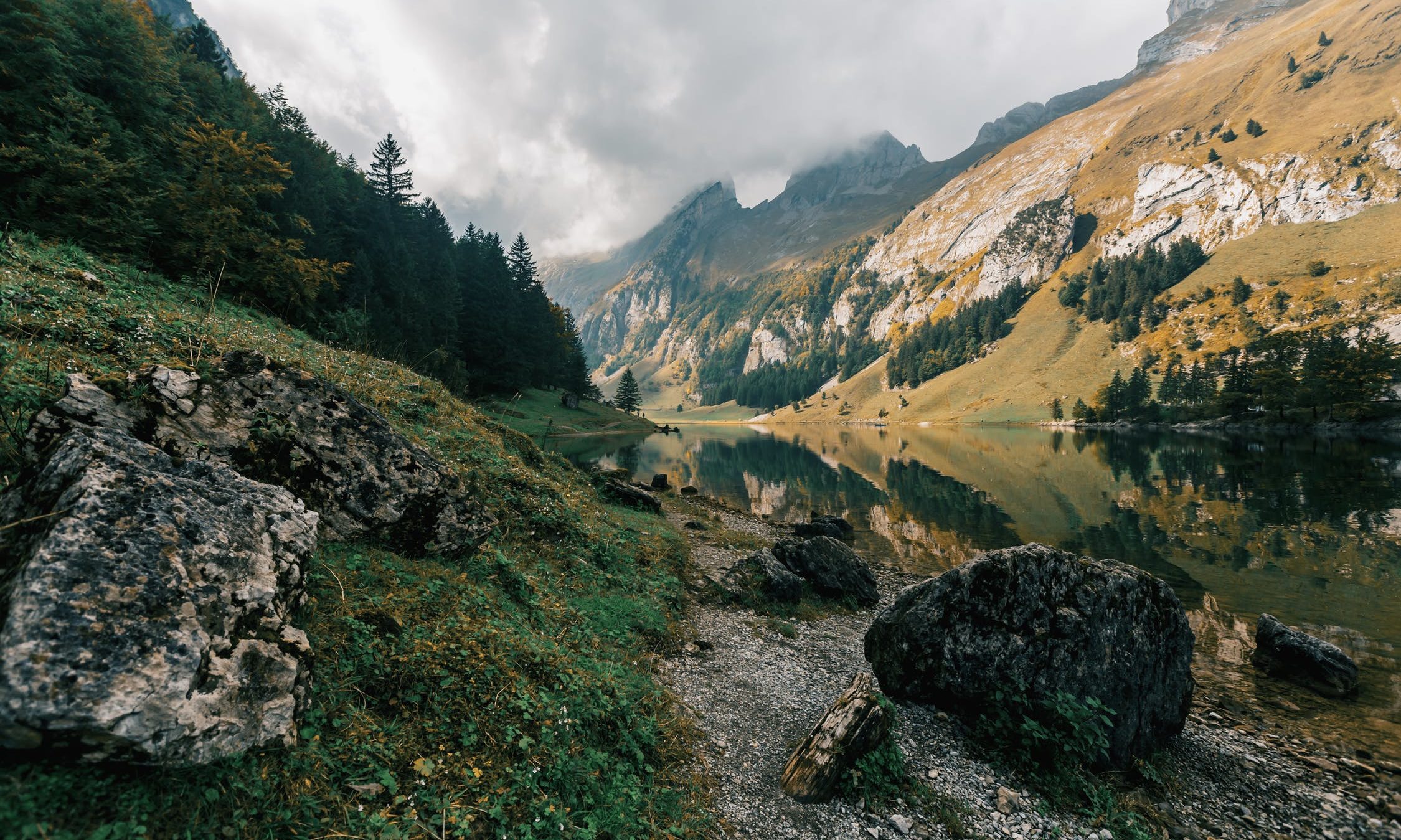 cropped-pexels-photo-633951-3.jpeg