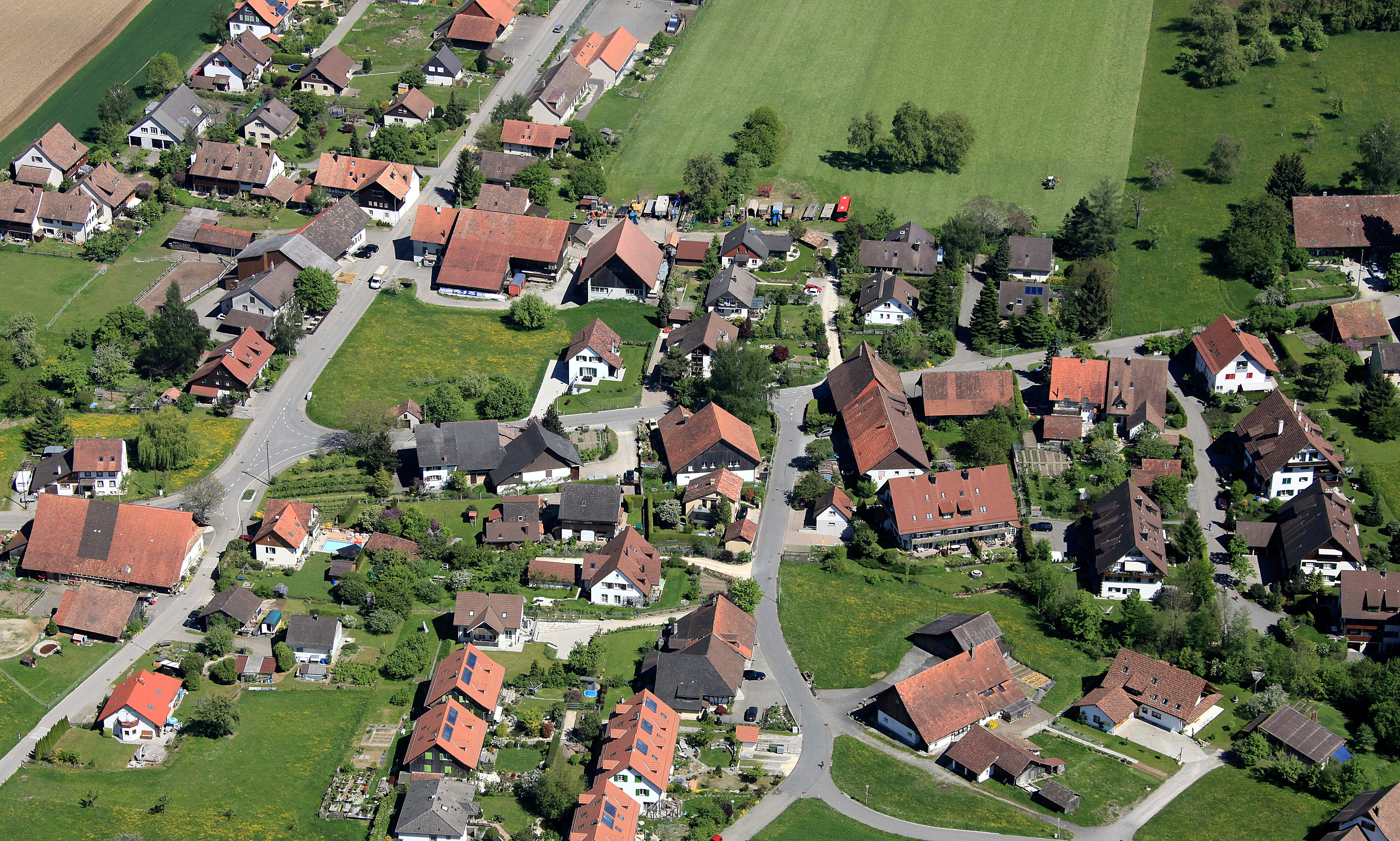 cropped-Dachslern_3442.jpg